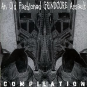 An Old Fashioned Grindcore Assault