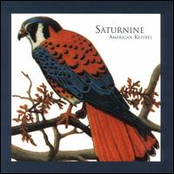 This World Is Made Of Fire by Saturnine