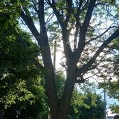 enjoy it while it lasts