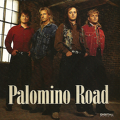 Palomino Road