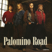 palomino road