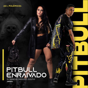 Pitbull Enraivado (Remix)