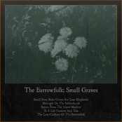 Small Graves