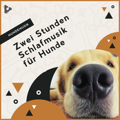 Zwei Stunden Schlafmusik für Hunde
