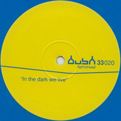 In The Dark We Live (Thee Lite)