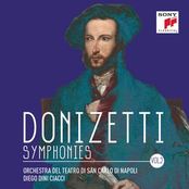 Gaetano Donizetti - Symphonies - Vol. II