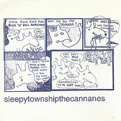 The Cannanes / Sleepy Township split