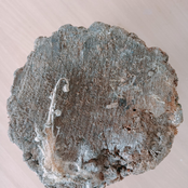 Seven Stages Of Grief III