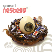 Spoonbill: Nestegg