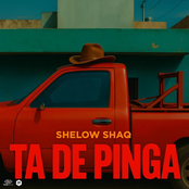Ta De Pinga