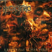 A Rotten Pile of Dead Humans