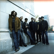 Counting Crows