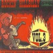 Rockin' Hillbilly Vol 3  (Cactus Records CACT CD 5002)