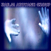 zailm atoyanh group