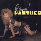 Panther by Panther
