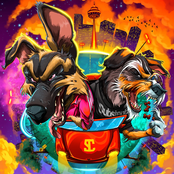 Distinct Motive: Bark Mode