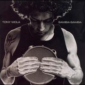 tony mola