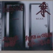 Choked By Own Vomits & S.C.A.T.