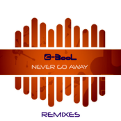 Never Go Away (Remixes)
