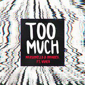 Too Much