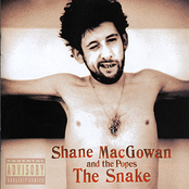 Victoria by Shane Macgowan And The Popes