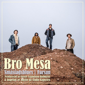 Småstadsblues | Farsan