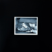 Leech LP
