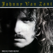 Take Every Beat Of My Heart by Johnny Van Zant