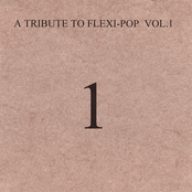 A Tribute to Flexipop Vol.01