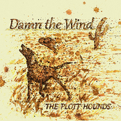 The Plott Hounds: Damn the Wind