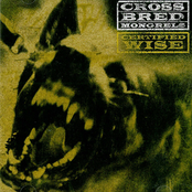 Record Biz by Cross Bred Mongrels