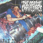 Streptococcus Pyogenes / Thecorpseinthecrawlspace