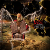 split 7" w/ modno gecko