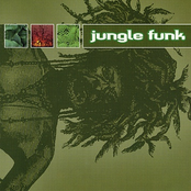 September by Jungle Funk