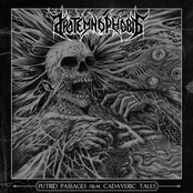 Putrid Passages From Cadaveric Tales