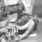 Gastrorrhoea / Orgy In The Morgue