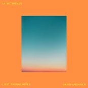 In My Bones - Single
