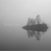 voivotus