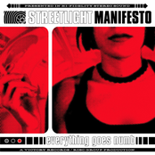 Streetlight Manifesto: Everything Goes Numb