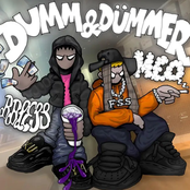 Dumm und Dümmer