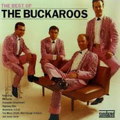 don rich and the buckaroos