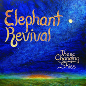 Satisfied by Elephant Revival