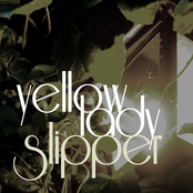 Black Powdered Cloud by Yellow Lady Slipper
