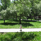 Flower Ecstasy (2009)