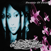 Beauty Of Death - Single