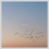 Tranquil
