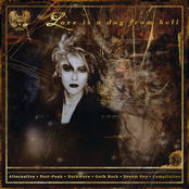 Love Is a Dog From Hell