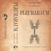 Pleuraraum