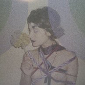 Clan Destine Records Compilation