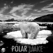 polar laake